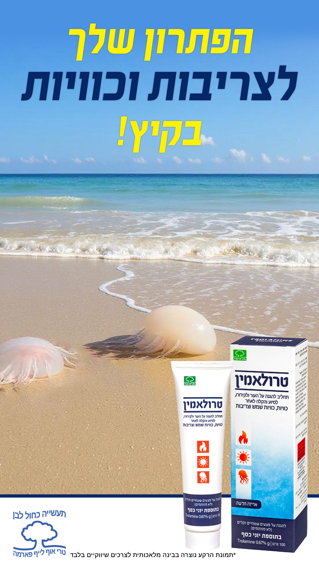 תמונה של - Story